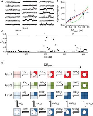 The N-Terminal Region of the Ryanodine Receptor Affects Channel Activation